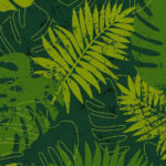 tropic 2