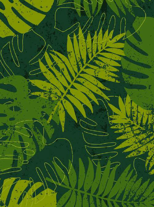 tropic 2