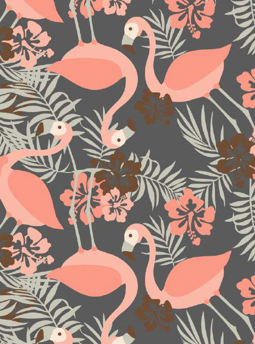 flamingi 2