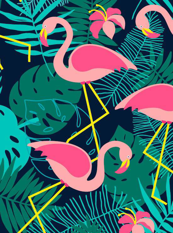 flamingi