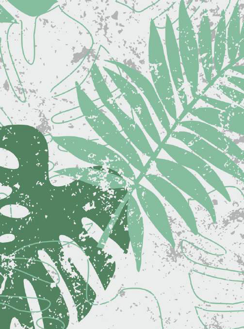 tropic